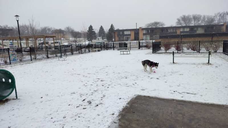 Albion on Northwest dog park - Palatine, IL