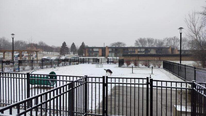 Albion on Northwest dog park - Palatine, IL
