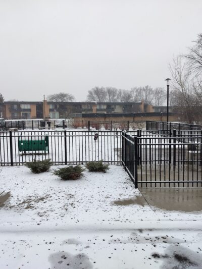 Albion on Northwest dog park - Palatine, IL