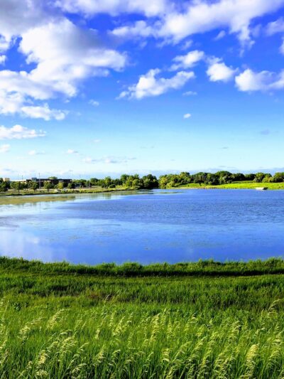 Plum Grove Reservoir Park - Palatine, IL