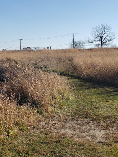 Plum Grove Reservoir Park - Palatine, IL