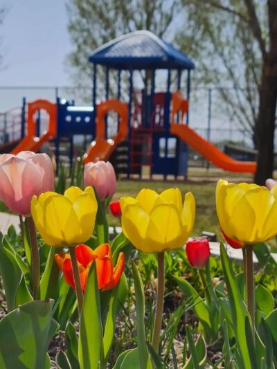 Peachbowl Park - Palisade, CO