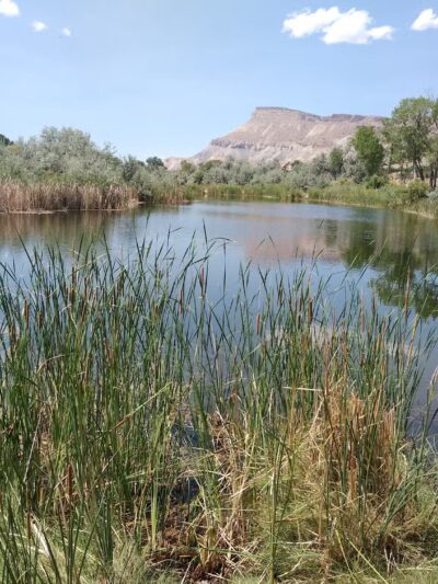 Riverbend Park - Palisade, CO