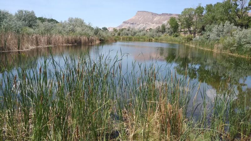 Riverbend Park - Palisade, CO