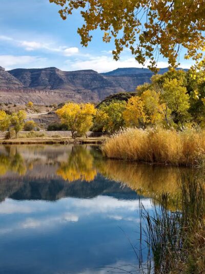 Riverbend Park - Palisade, CO