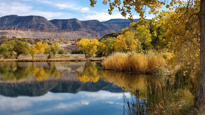 Riverbend Park - Palisade, CO