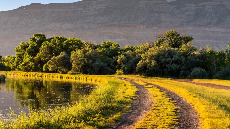 Riverbend Park - Palisade, CO