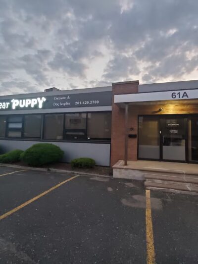 Dear Puppy - Palisades Park, NJ