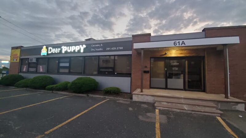 Dear Puppy - Palisades Park, NJ