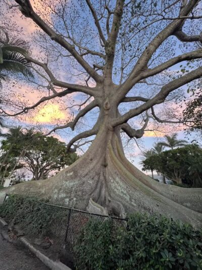 Palm Beach Lake Trail - Palm Beach, FL