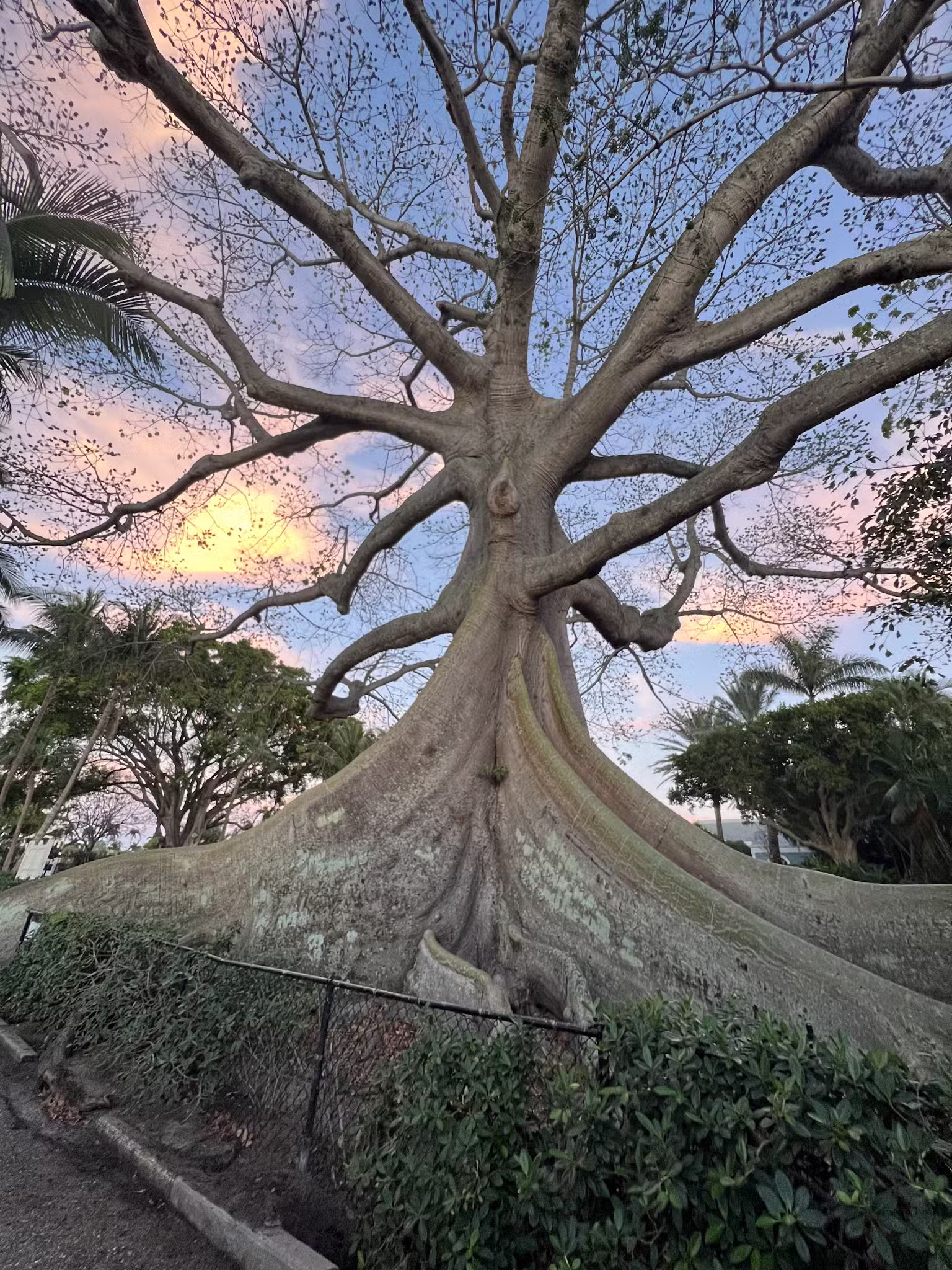 Palm Beach Lake Trail - Palm Beach, FL