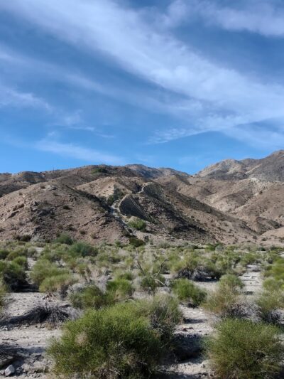 City of Palm Desert Homme-Adams Park - Palm Desert, CA