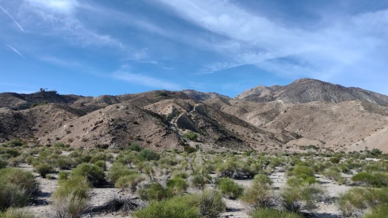 City of Palm Desert Homme-Adams Park - Palm Desert, CA