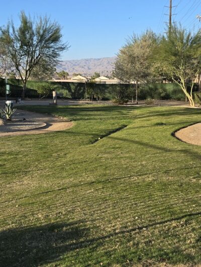 Domani Community Dog Park - Palm Desert, CA