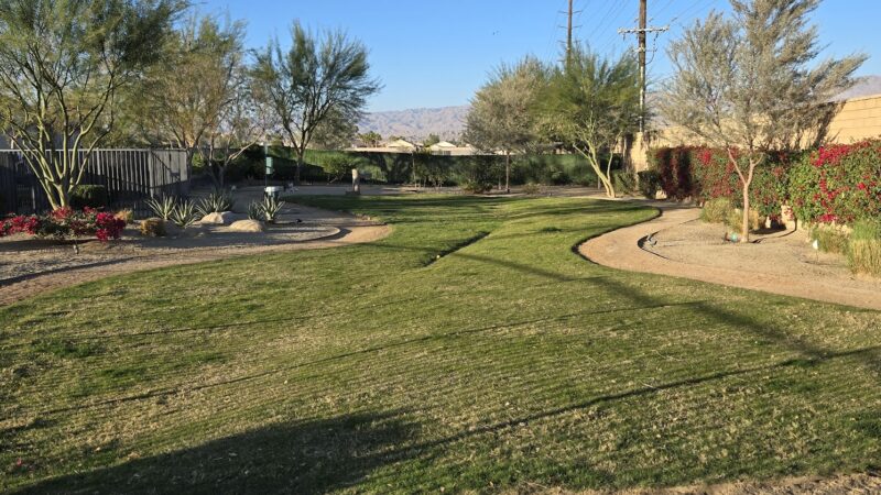 Domani Community Dog Park - Palm Desert, CA