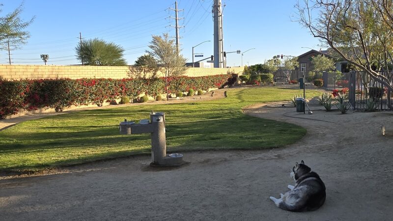 Domani Community Dog Park - Palm Desert, CA