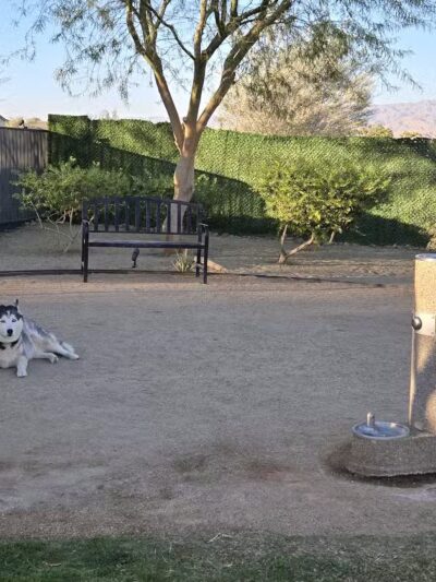 Domani Community Dog Park - Palm Desert, CA