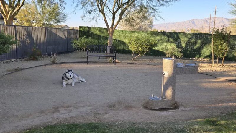 Domani Community Dog Park - Palm Desert, CA