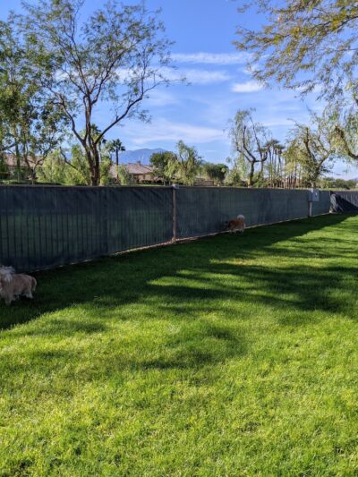 Greenbelt Dog Park (for Sun City resident/guest use only) - Palm Desert, CA