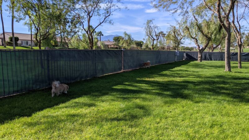 Greenbelt Dog Park (for Sun City resident/guest use only) - Palm Desert, CA