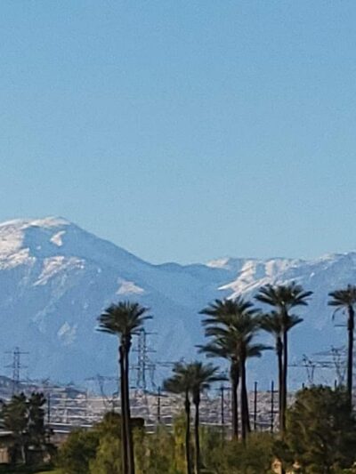 Greenbelt Dog Park (for Sun City resident/guest use only) - Palm Desert, CA