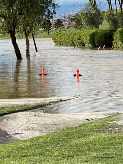 Greenbelt Dog Park (for Sun City resident/guest use only) - Palm Desert, CA