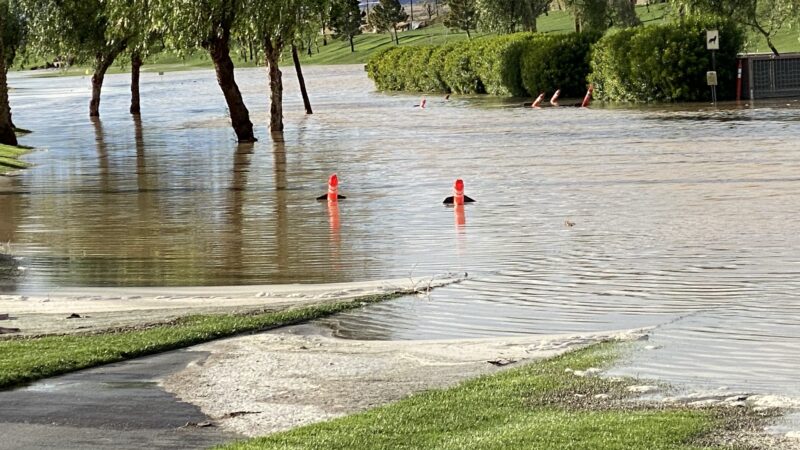 Greenbelt Dog Park (for Sun City resident/guest use only) - Palm Desert, CA