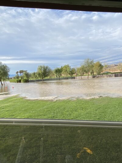 Greenbelt Dog Park (for Sun City resident/guest use only) - Palm Desert, CA