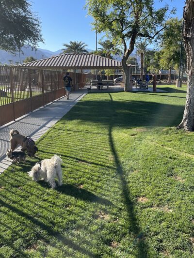Palm Desert Dog Park - Palm Desert, CA