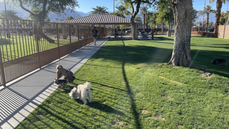 Palm Desert Dog Park - Palm Desert, CA