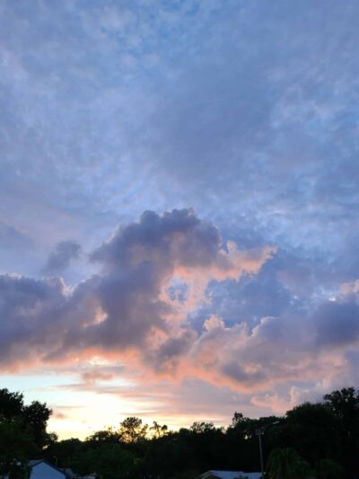 Lake St George Park - Palm Harbor, FL