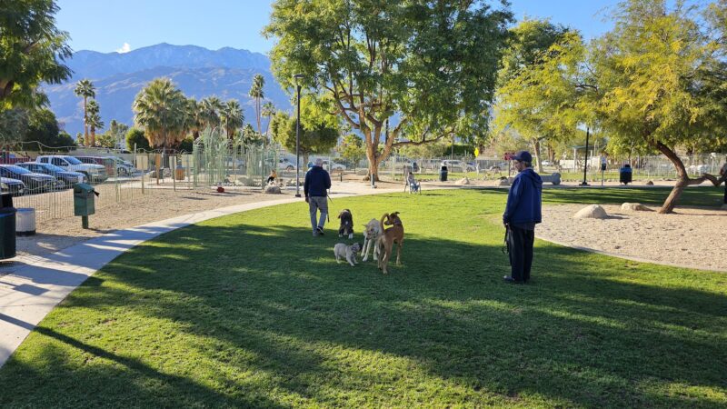David H. Ready Palm Springs Dog Park - Palm Springs, CA