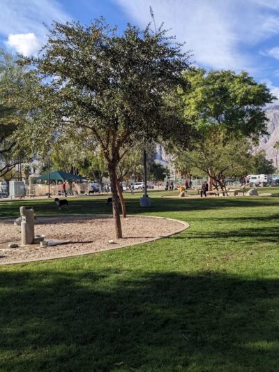David H. Ready Palm Springs Dog Park - Palm Springs, CA