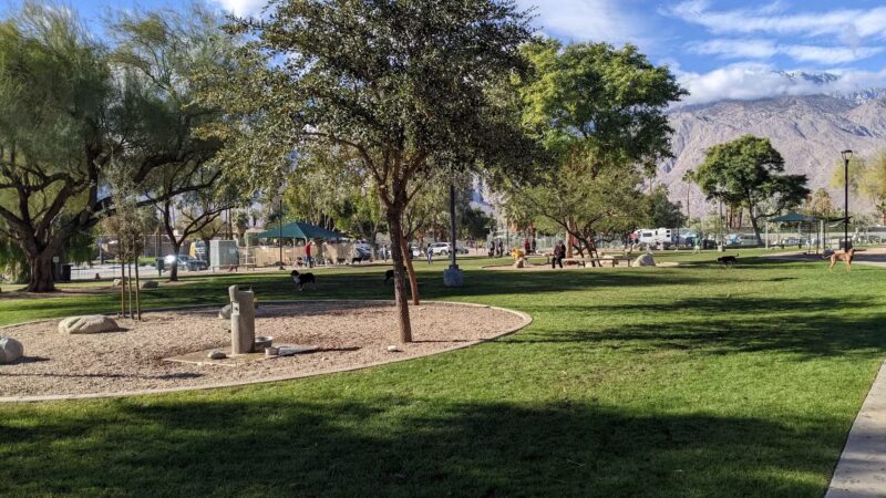 David H. Ready Palm Springs Dog Park - Palm Springs, CA