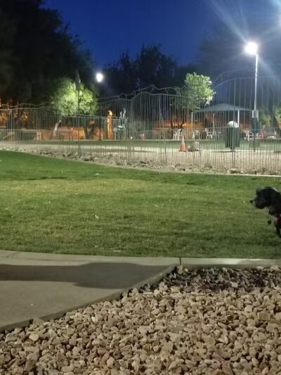 David H. Ready Palm Springs Dog Park - Palm Springs, CA