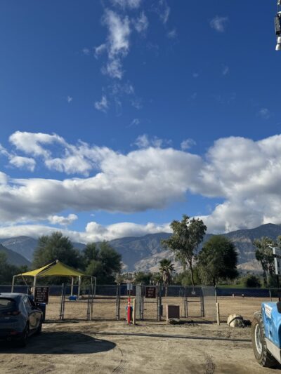 Palm Springs Large Dog Park - Palm Springs, CA