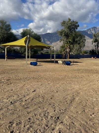 Palm Springs Large Dog Park - Palm Springs, CA