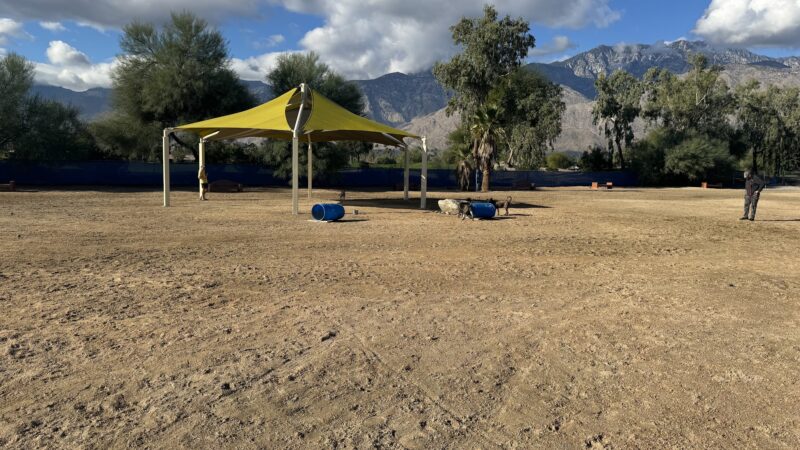 Palm Springs Large Dog Park - Palm Springs, CA