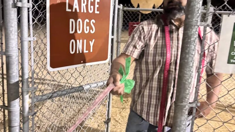 Palm Springs Large Dog Park - Palm Springs, CA