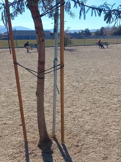 Yellen Dog Park - Palmdale, CA