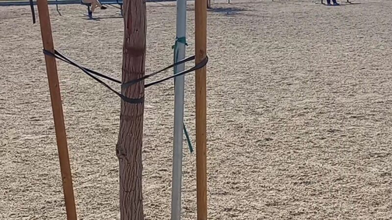 Yellen Dog Park - Palmdale, CA