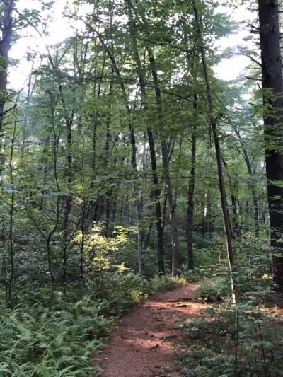 Burleigh Park - Palmer, MA