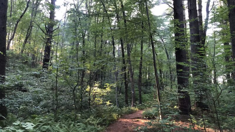 Burleigh Park - Palmer, MA