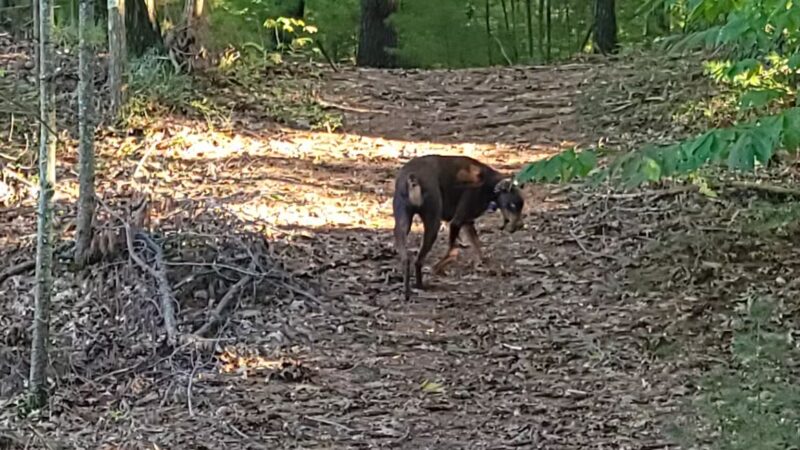 Burleigh Park - Palmer, MA