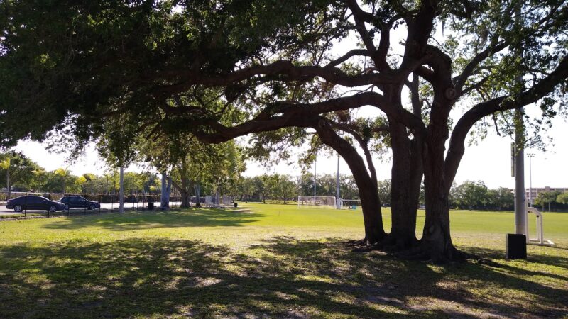 Blackstone Park - Palmetto, FL