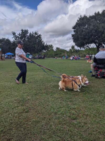 Dog Leg Canine Park - Palmetto, FL
