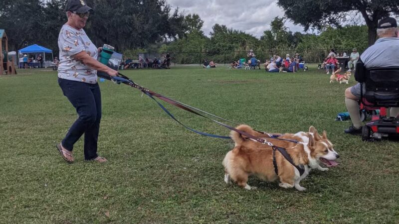 Dog Leg Canine Park - Palmetto, FL