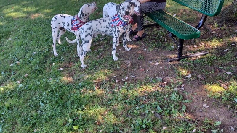 Southeast Family Park - Palmyra, PA