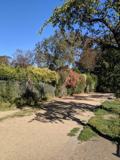 Greer Dog Park - Palo Alto, CA