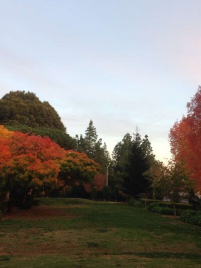 Jerry Bowden Park - Palo Alto, CA
